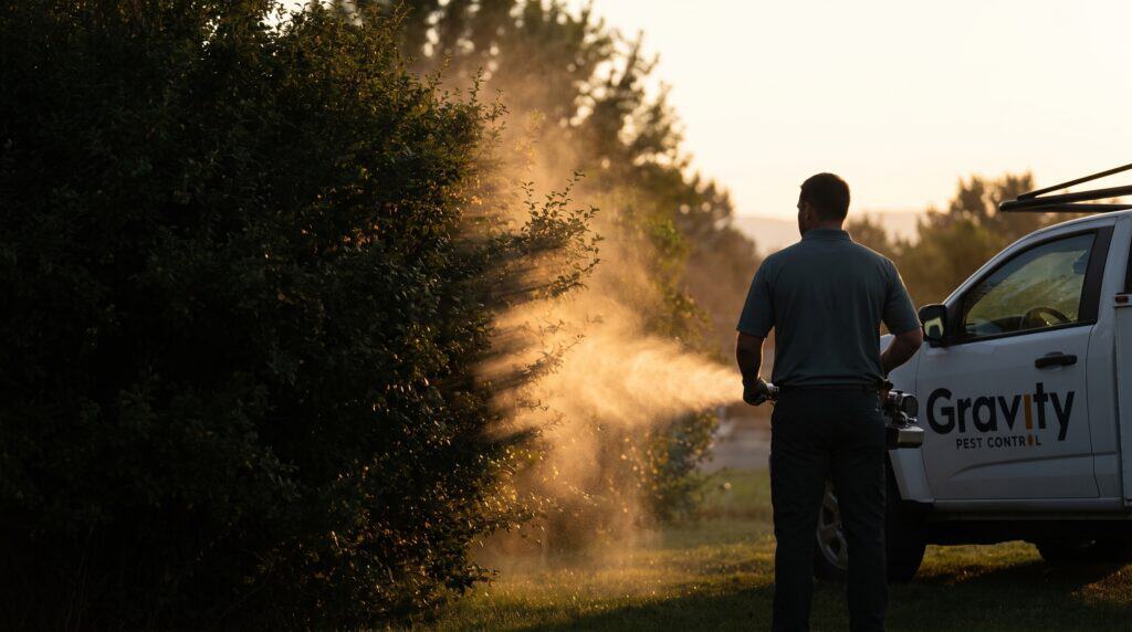 Mosquito Control